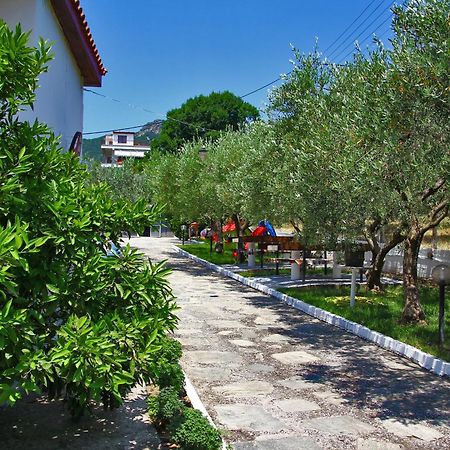 Dimos Bungalows Palaiontsiflikion Bagian luar foto