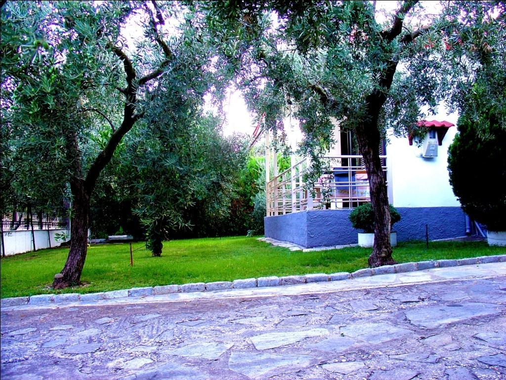 Dimos Bungalows Palaiontsiflikion Ruang foto